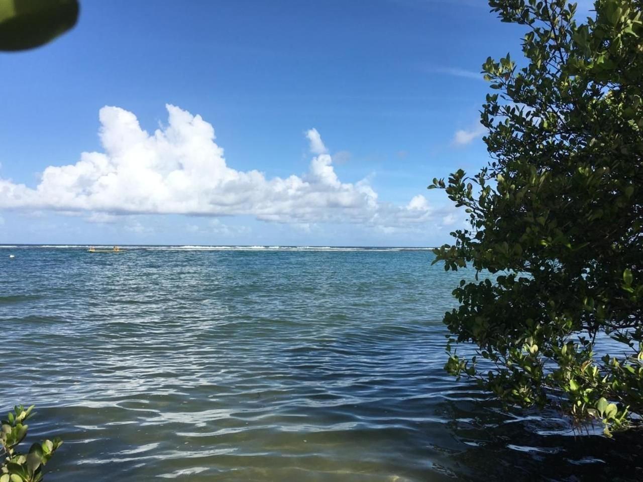 Polinesia Resort - Porto De Galinhas - Apartamentos Com Somente 1 Opcao De Terreo Com Piscina Privativa - Acesso Ao Hotel Samoa エクステリア 写真