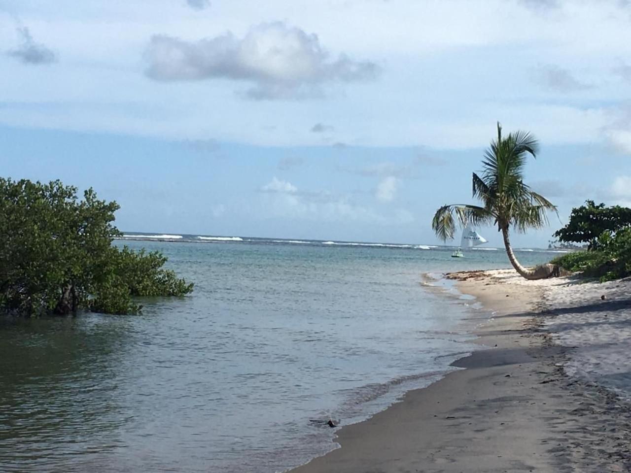 Polinesia Resort - Porto De Galinhas - Apartamentos Com Somente 1 Opcao De Terreo Com Piscina Privativa - Acesso Ao Hotel Samoa エクステリア 写真